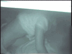 Amateur car sex image 102 sheets! SEX couple with Icha in a cramped car [GIF more] 76th image
