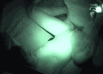 Amateur car sex image 102 sheets! SEX couple with Icha in a cramped car [GIF more] 78th image