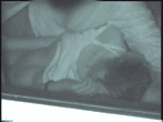 Amateur car sex image 102 sheets! SEX couple with Icha in a cramped car [GIF more] 86th image