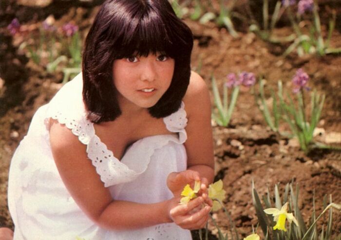 50 gravure images of Miko Miyazaki's 60th birthday swimsuit in bikini for the first time in 40 years 33th image