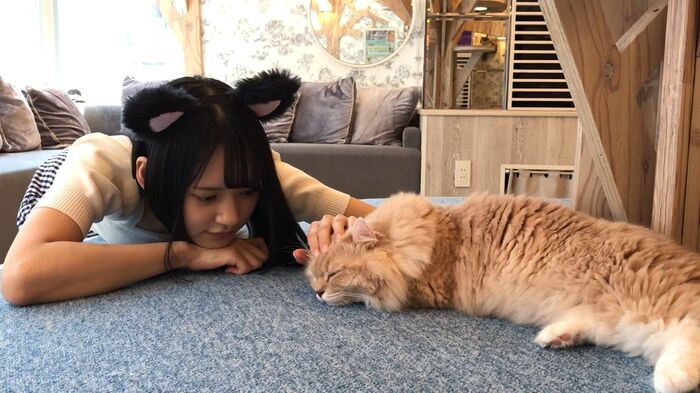 Take Umi-chan of the hairless new AV actress who made her AV debut is too beautiful girl 16th image