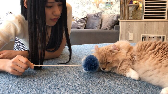 Take Umi-chan of the hairless new AV actress who made her AV debut is too beautiful girl 17th image