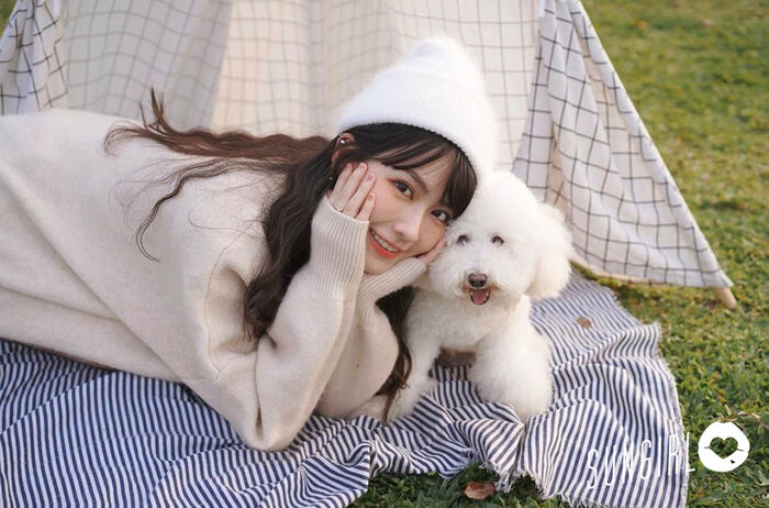 Luo 珮 Christine, 卡 excellent sister of a very crawling species: 'Yui Taiyu Niigaki', successful university gift! 11th image