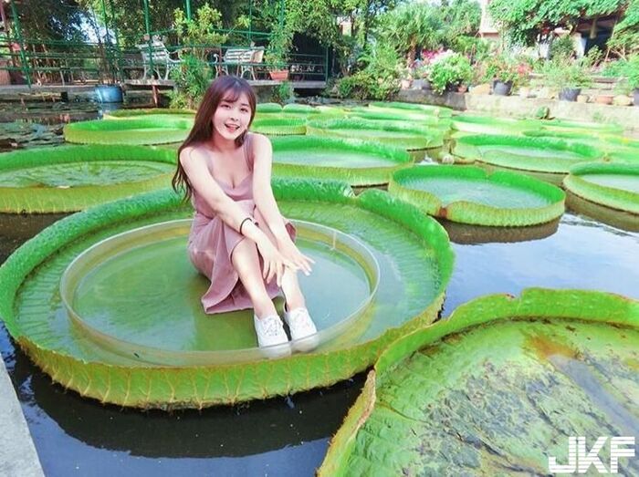 有腿又有胸 李沛筠  「天氣熱奶奶也需要透透氣」大方露深溝：該有的都有了 4th image